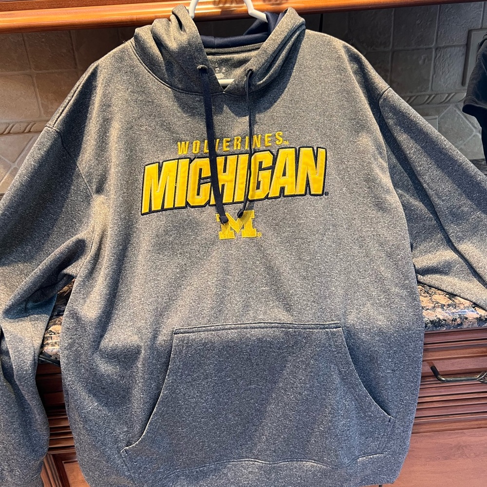 University of Michigan wolverines sweatshirt, size large Champion